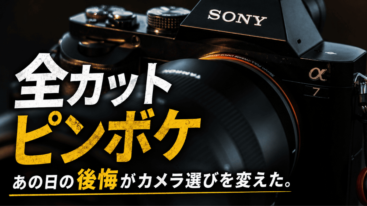 sonyミラーレスカメラ