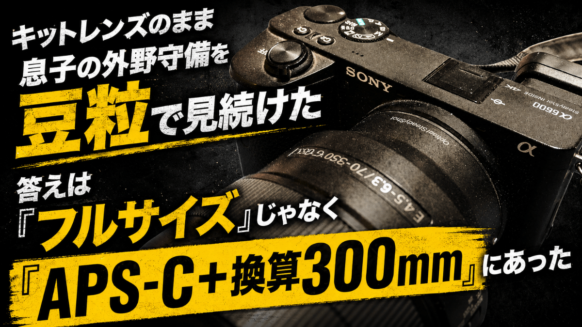 ソニーα6600ミラーレスカメラ