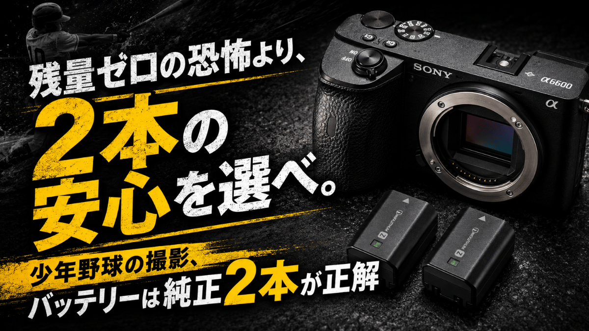 α6600とバッテリーの画像