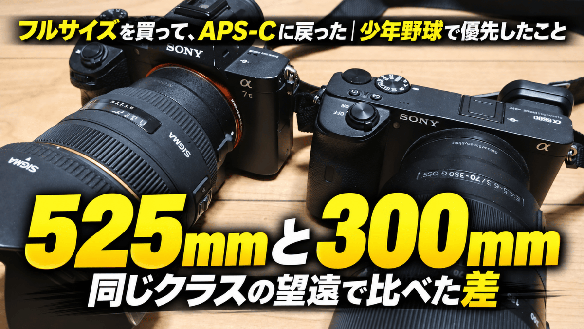 フルサイズ機のα7ⅡとAPS-C機のα6600を並べた写真